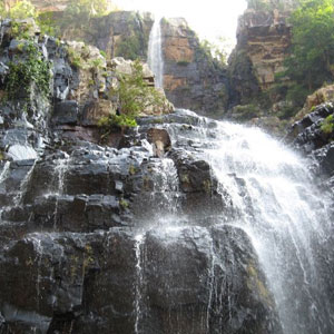 Other Attractions of Tirupati